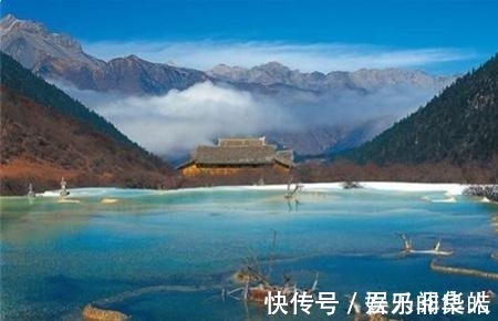 鸾鸟&山海经中发现有关上古凤凰神山的离奇记载，那里到底隐藏什么秘密！