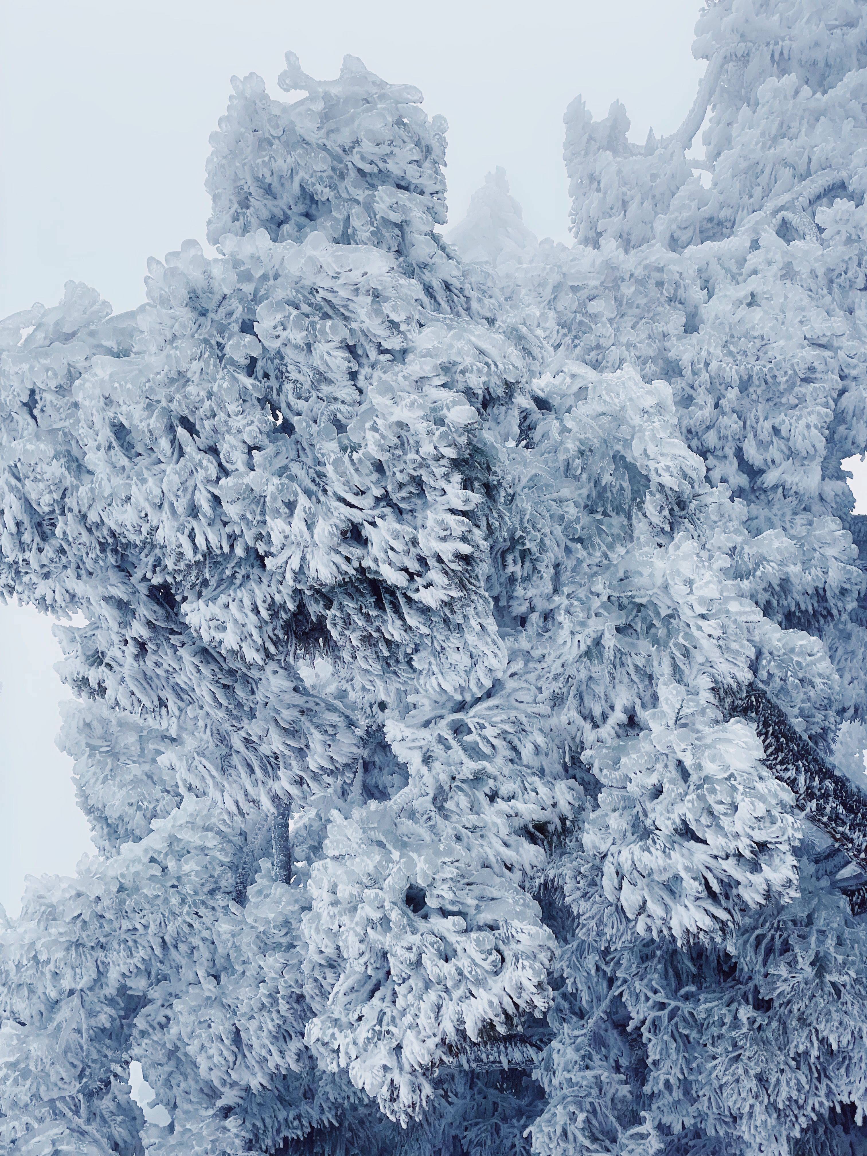 峰源雪景雾凇,美到心魄