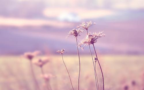 综合症|帕金森综合症的治疗原则