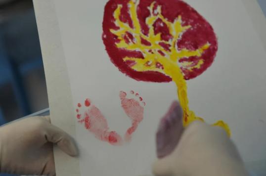 足迹|新生儿为什么要留脚印医生不会告诉你的,但家长心里一定要清楚