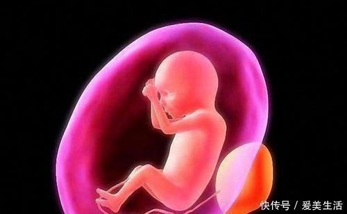 b超|宝宝的性别是什么时候决定的,是受精时还是受精后呢