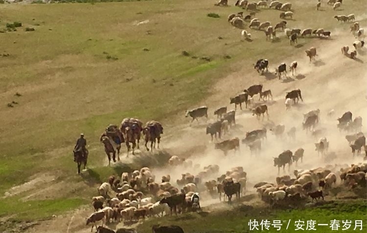 哈萨克|草原上的生命大迁徙哈萨克转场