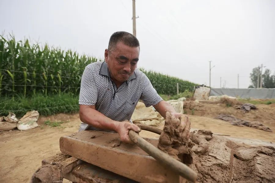 运河|聊报图集｜走进临清 领略运河两岸的风土人情