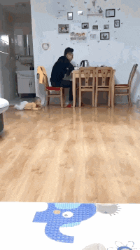 |搞笑GIF：霸气了我的姐 这辈子见过最拉风的走路姿势