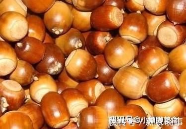 坚果|农村有一种野果像陀螺,被誉为坚果之王,如今稀罕要20元一斤