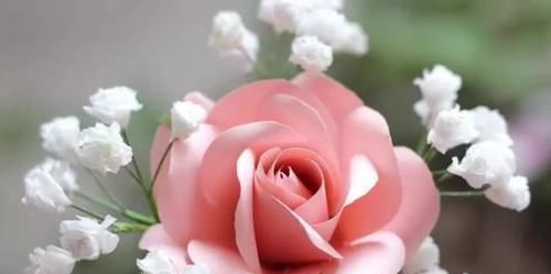 想到|谁能想到这么浪漫的满天星,竟是卫生纸揉的假花,附教程