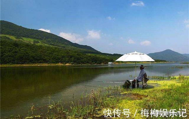 栖息|别再抢老钓位了，“秋老虎”鱼儿都藏在这，选这垂钓事半功倍