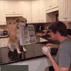 |搞笑GIF:我都不敢这么p,她却敢这么长!