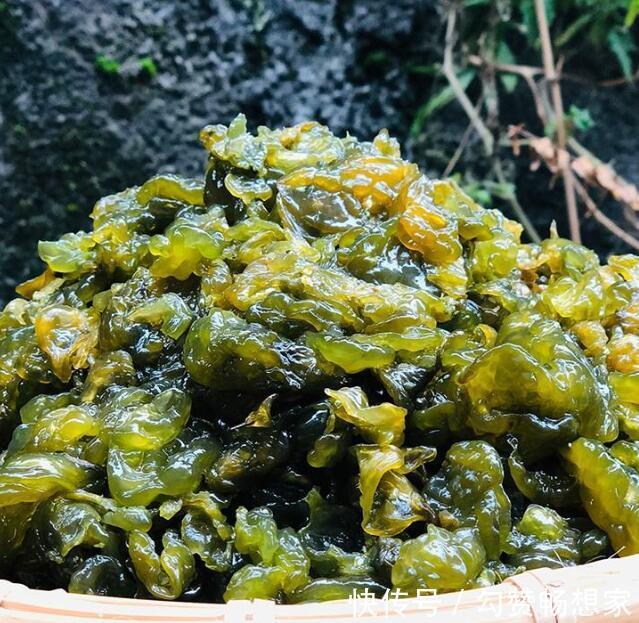 很好吃|春天了，5样“野菜”别错过，包成饺子，鲜嫩美味，很好吃