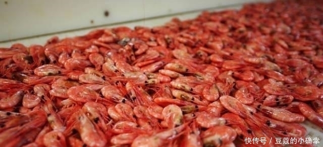 透漏|自助餐老板透漏:吃自助餐不拿这4种食物的顾客,是真正的行家!