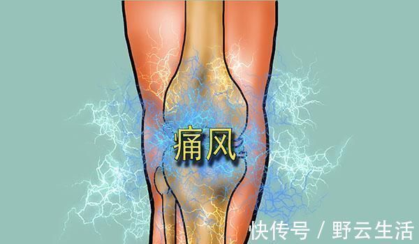 痛风者|炖肉出现的白沫，是营养品还是垃圾？不少人都搞错了，肉白炖了