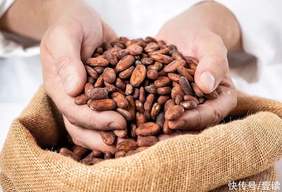  比利时|巧克力界的劳斯莱斯，歌帝梵来了！不到300块get比利时皇室同品质