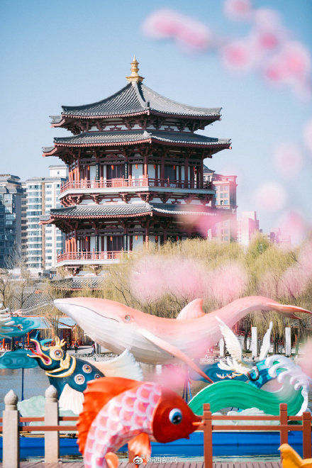 春天里的陕西 丨春日大唐芙蓉园 花开烂漫正当时