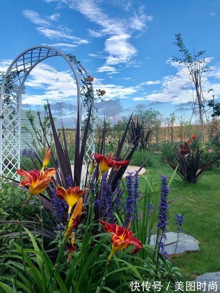 满园|2年前,买了一栋带院子的房子,在高楼喧嚣中建一个“梦幻花园”