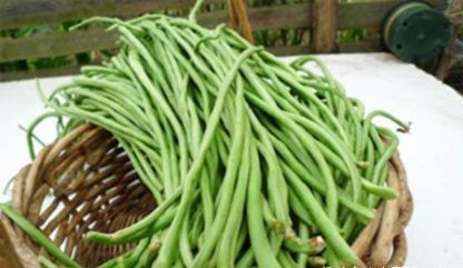 芸豆角|豆角炒肉，豆角有人焯水有人直接炒大厨都不对，难怪不好吃