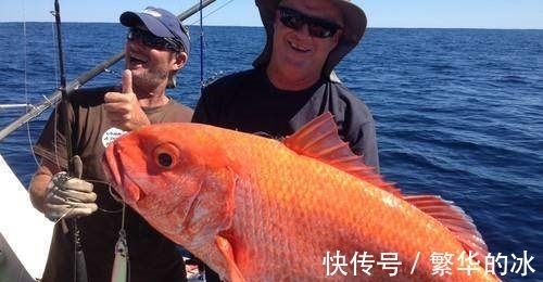 放长线沉底钓的装备和钓组结构,爱钓大鱼的你别错过