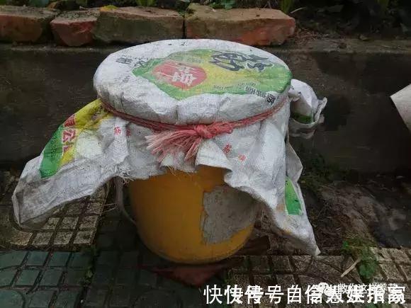 脱盐|这2种“壳”丢了太可惜,埋花土里3年不板结,种什么花都旺!