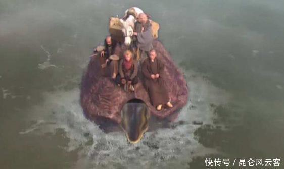 丢去|通天河老龟的真身是谁?难怪他敢将唐僧丢去水里!