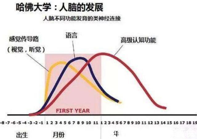 方仲永|哈佛研究发现:孩子一生只有1次变聪明的机会,抓住一个就稳了