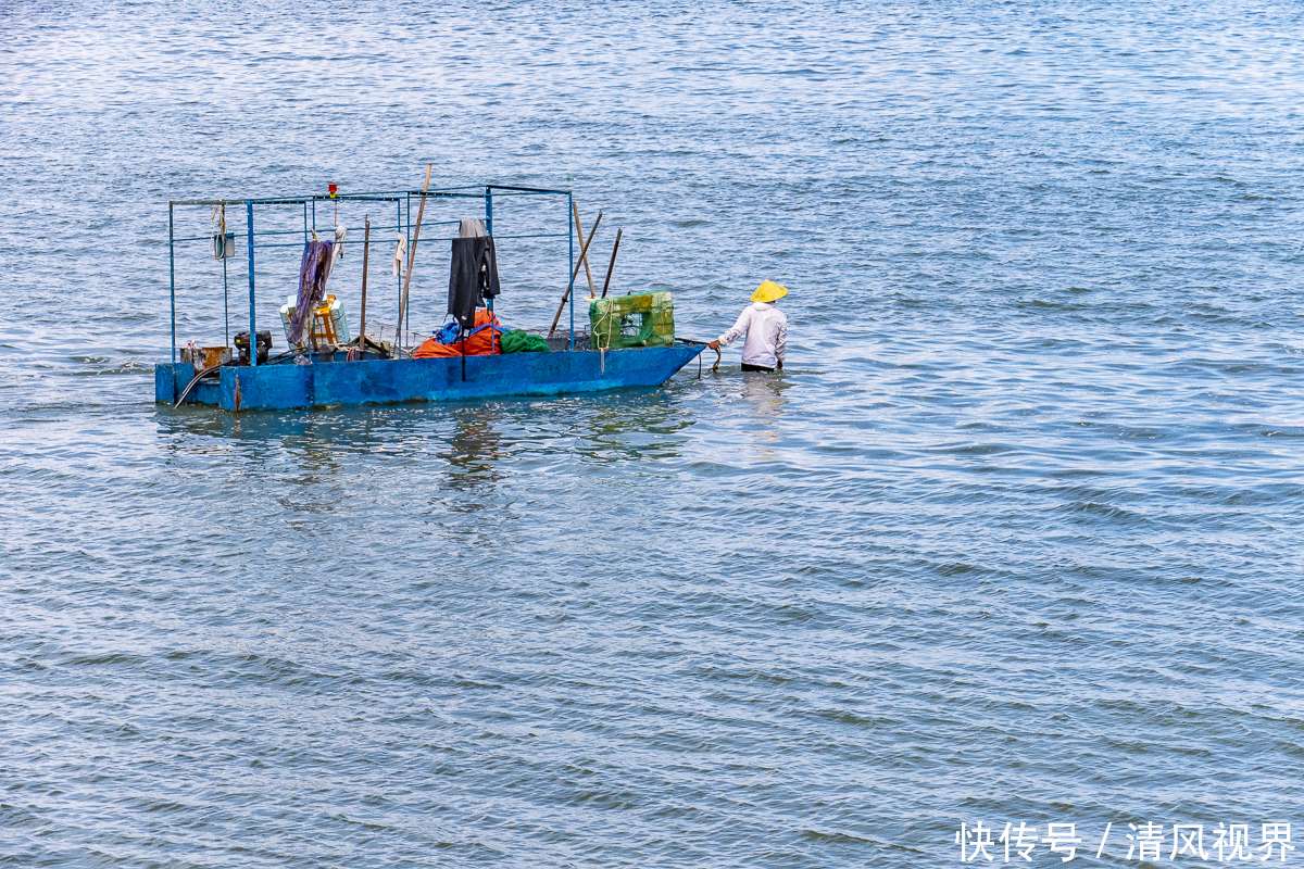 广西壮族自治区人民政府|美丽的“海上森林”，中国十大魅力湿地之一，北海金海湾红树林