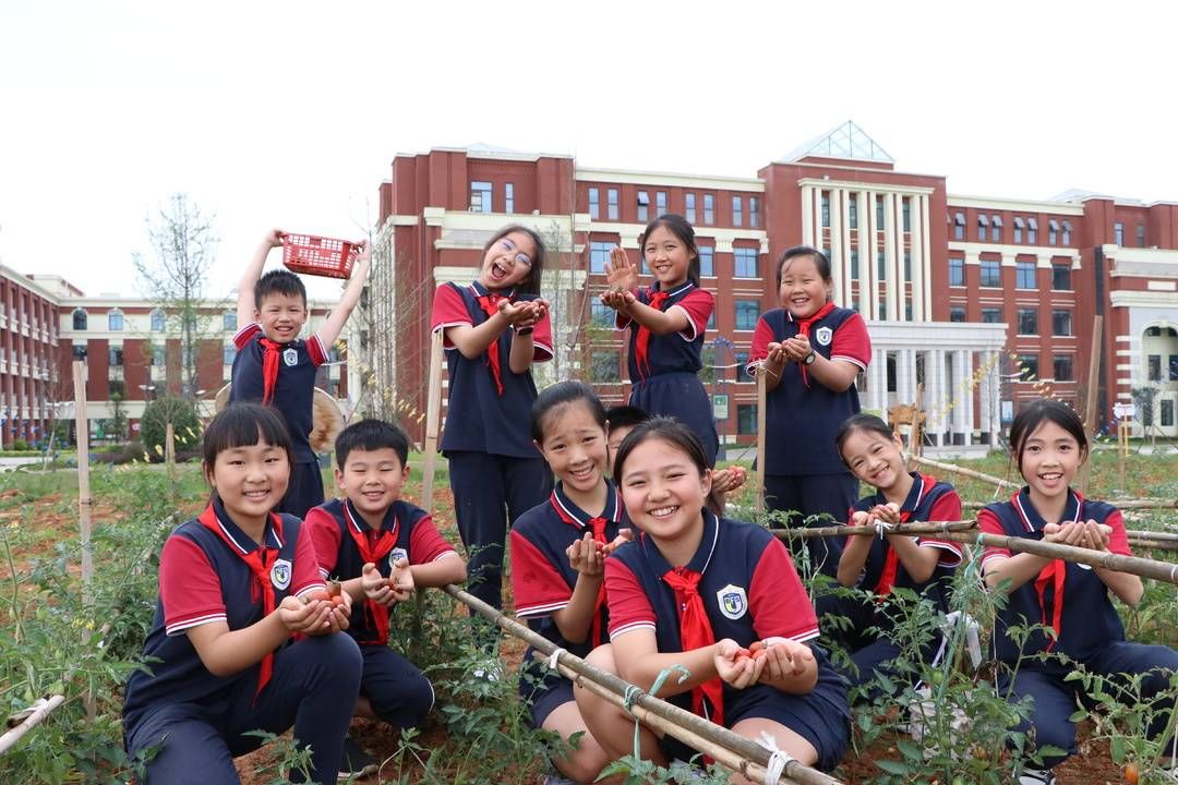 附属东坡外国语学校|封面研学｜“双减”后时代，校园劳动教育这样做