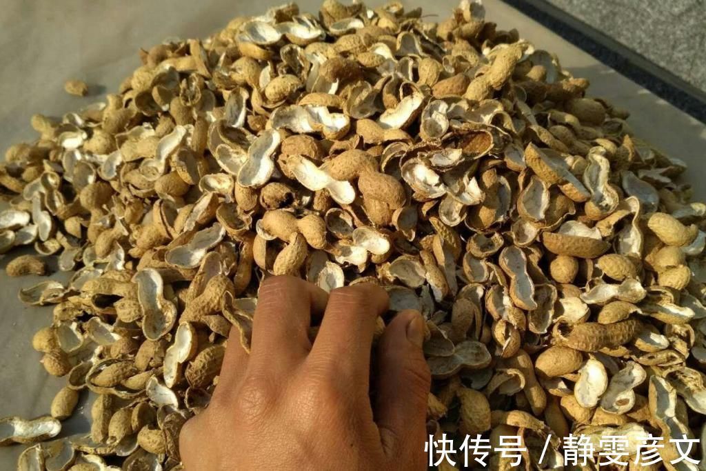 养花|养花土里加点料,肥的流油,从来不板结,开花太猛了