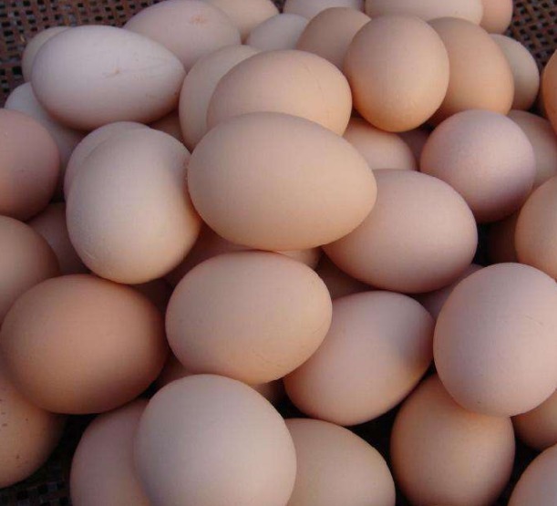 食物|冰箱一定不能放3种食物，会变质的更快，很多人不清楚，了解下