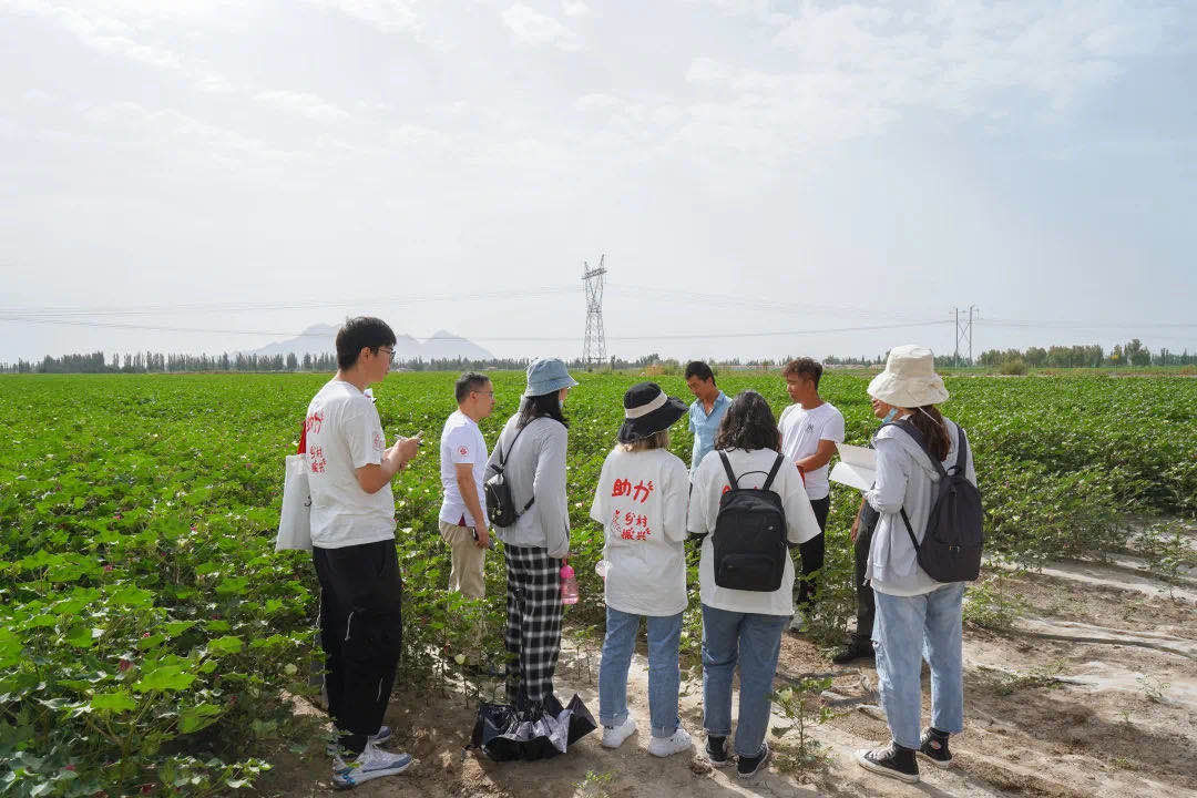 新疆|十年接力 东华师生“纺”出特色援疆路