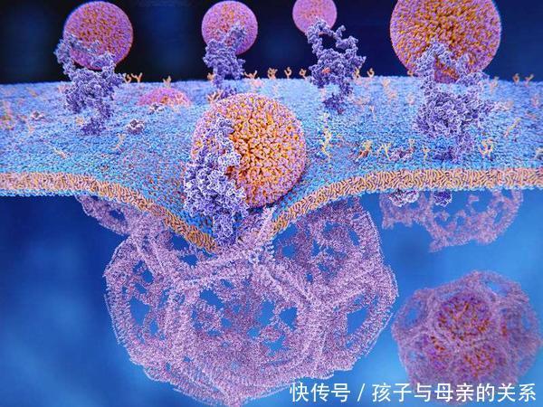 血栓|甘油三酯的“天敌”找到了!没事多吃这5种,血栓或许不敢来找事