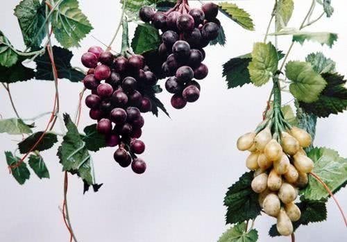  绝技|清朝时有项“葡萄常”的绝技，为何传女不传男，五个传人全都未婚