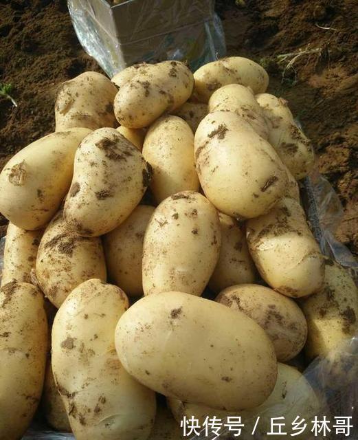 吃了半辈子土豆,这个做法百吃不腻,不炒不炸也不煮,上桌就扫光