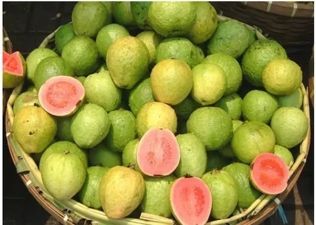 糖尿病人|这3种植物是天然的“胰岛素”,经常做菜吃,血糖降低血脂不愁