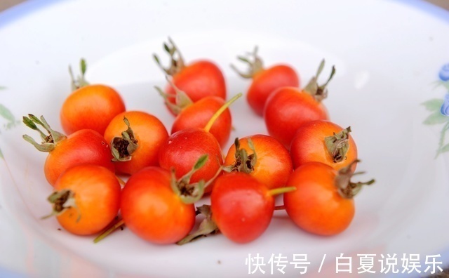 农村|这个野果在农村并不常见,我从六岁吃到十三岁,却不知道它的名字