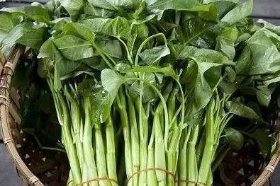 肛肠|痔疮疼痛难忍不用慌,每天换着吃点此几物,痔疮悄悄不见了