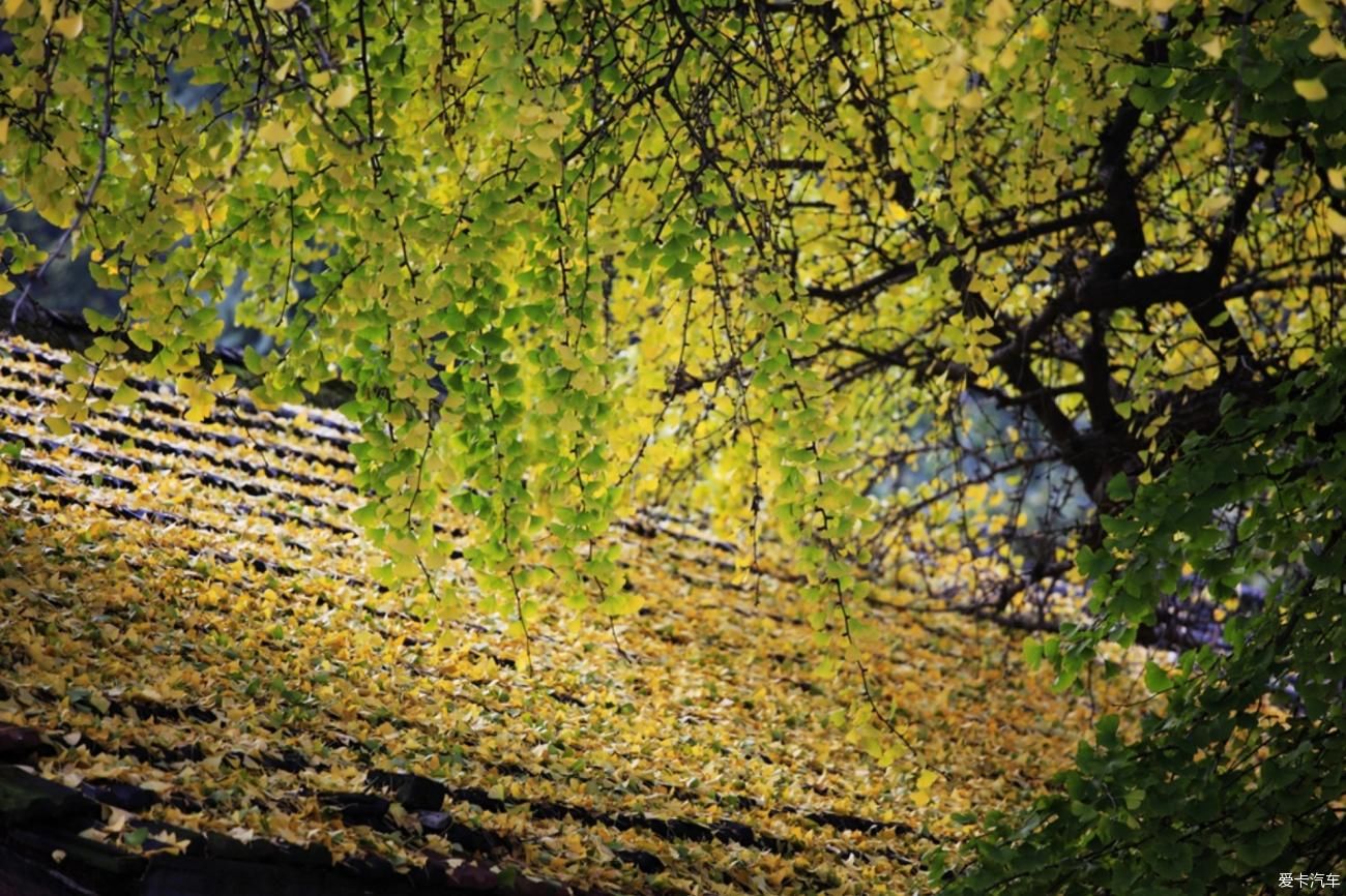 镇平菩提寺