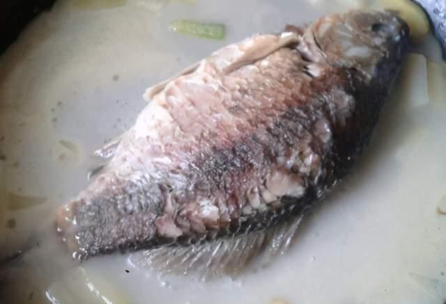 炖鱼汤不可直接加水炖,牢记这3点,鱼汤浓白鲜香,好喝无腥味