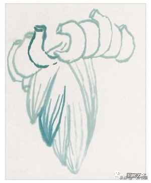 教程@图文教程——芭蕉画法