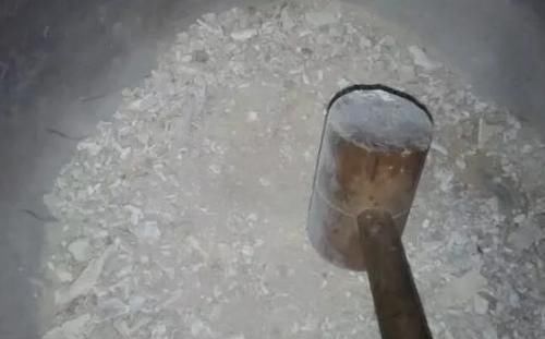 君子兰|养君子兰、长寿花,盆里撒点“万能肥”,新芽猛长,呼呼开花!