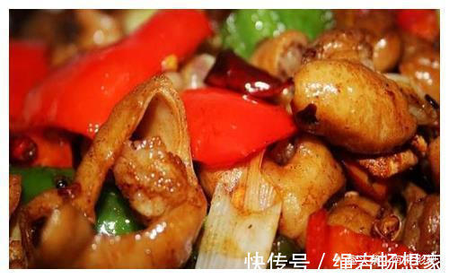 干辣椒|简简单单菜肴16款,味道醇香吃而不忘,家人团聚做起来吧