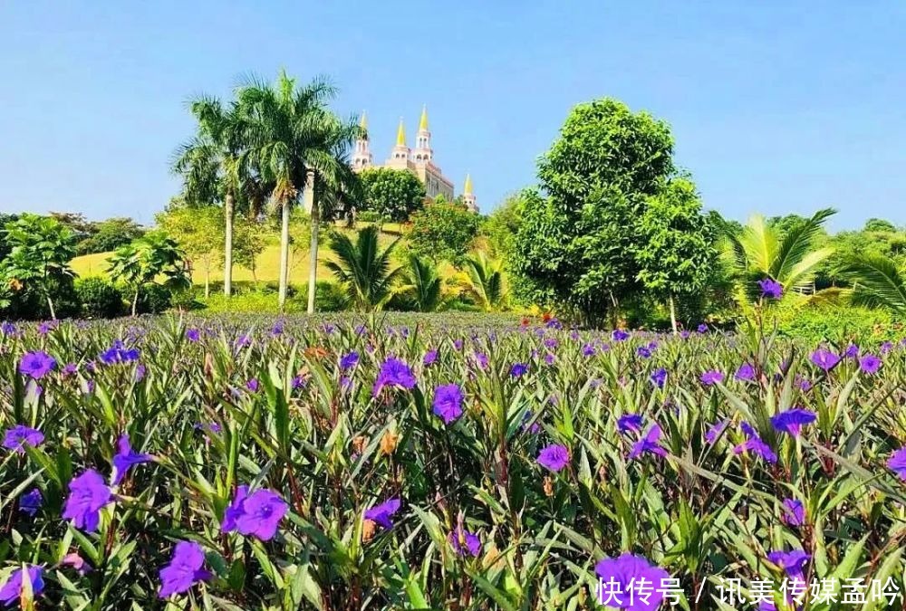 春雨到来，百花盛开！来一场鸟语花香的节后错峰游吧～