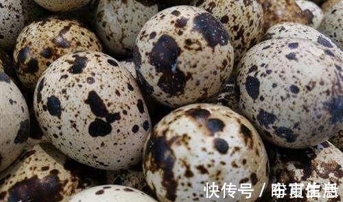 营养价值|鸡蛋、鸭蛋、鹌鹑蛋哪种营养最丰富?需要补充营养的人,来了解下