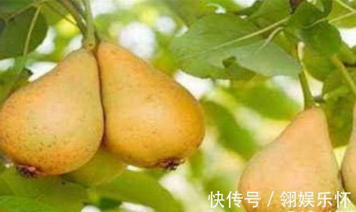 芝麻油拌食|人到中年,3种食物轮着吃,补充营养,排毒护肤,美容肌肤