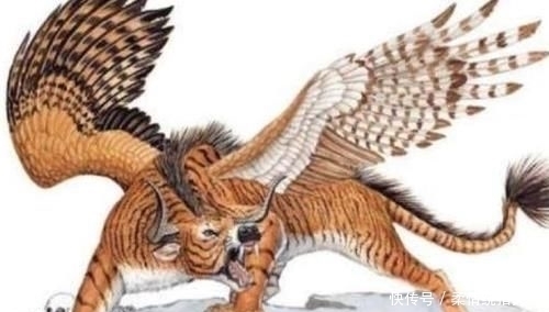 文鳐$《山海经》中唯一吃过龙肉的人,如果你是这个姓,那可能是其后人