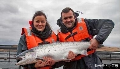 就要|“吃不起”的5种海鲜,第2种吃上一口,可能就要倾家荡产了