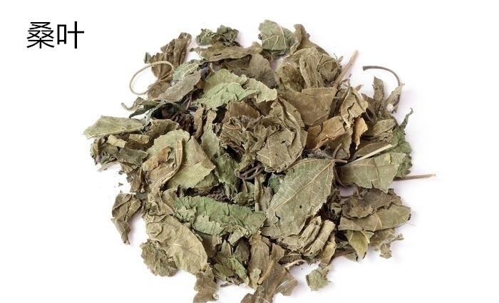 盗汗|治盗汗最简单的办法:一种树叶,研末送服,从古用到今