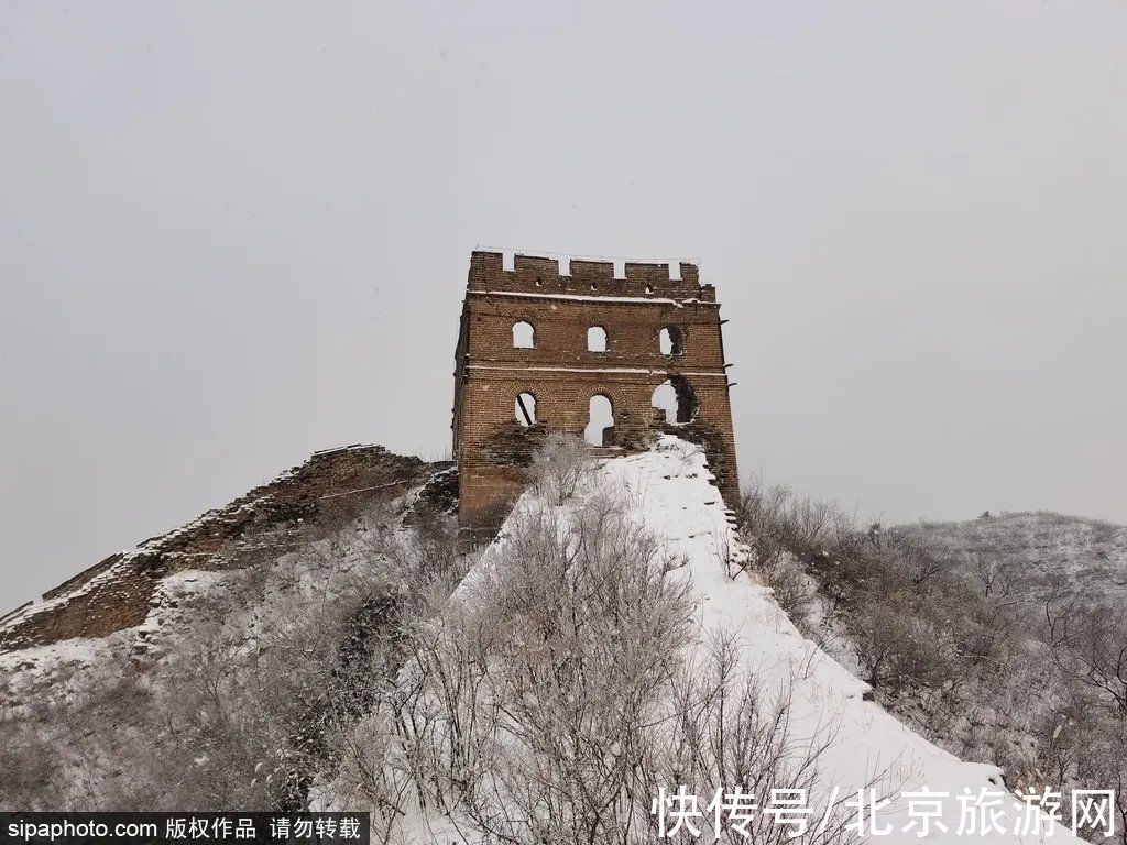 一夜之间|来啦！多图带你看紫禁城瑞雪，还有卖萌的熊猫、嬉戏的老虎~