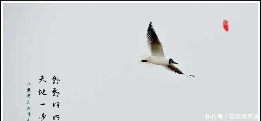 诗圣杜甫《旅夜书怀》,极尽长江的雄浑!却也极尽的悲凉!