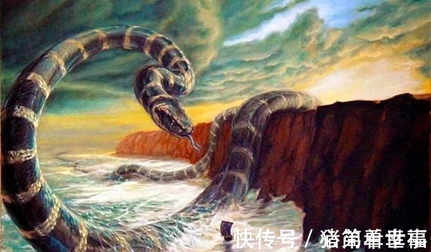 龟壳#古墓发现神秘龟壳，这是美洲的地平龟，《山海经》再次被证实