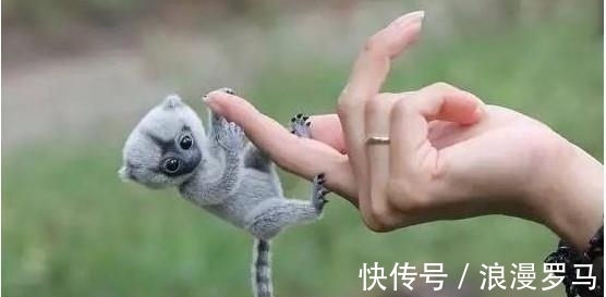 安腾|8个含金量很足的生活常识，课本上也不一定学的到哦!