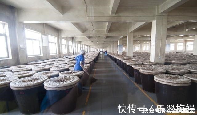 好醋|买醋时,专挑这3个产地的醋,不花冤枉钱,全是优质好醋